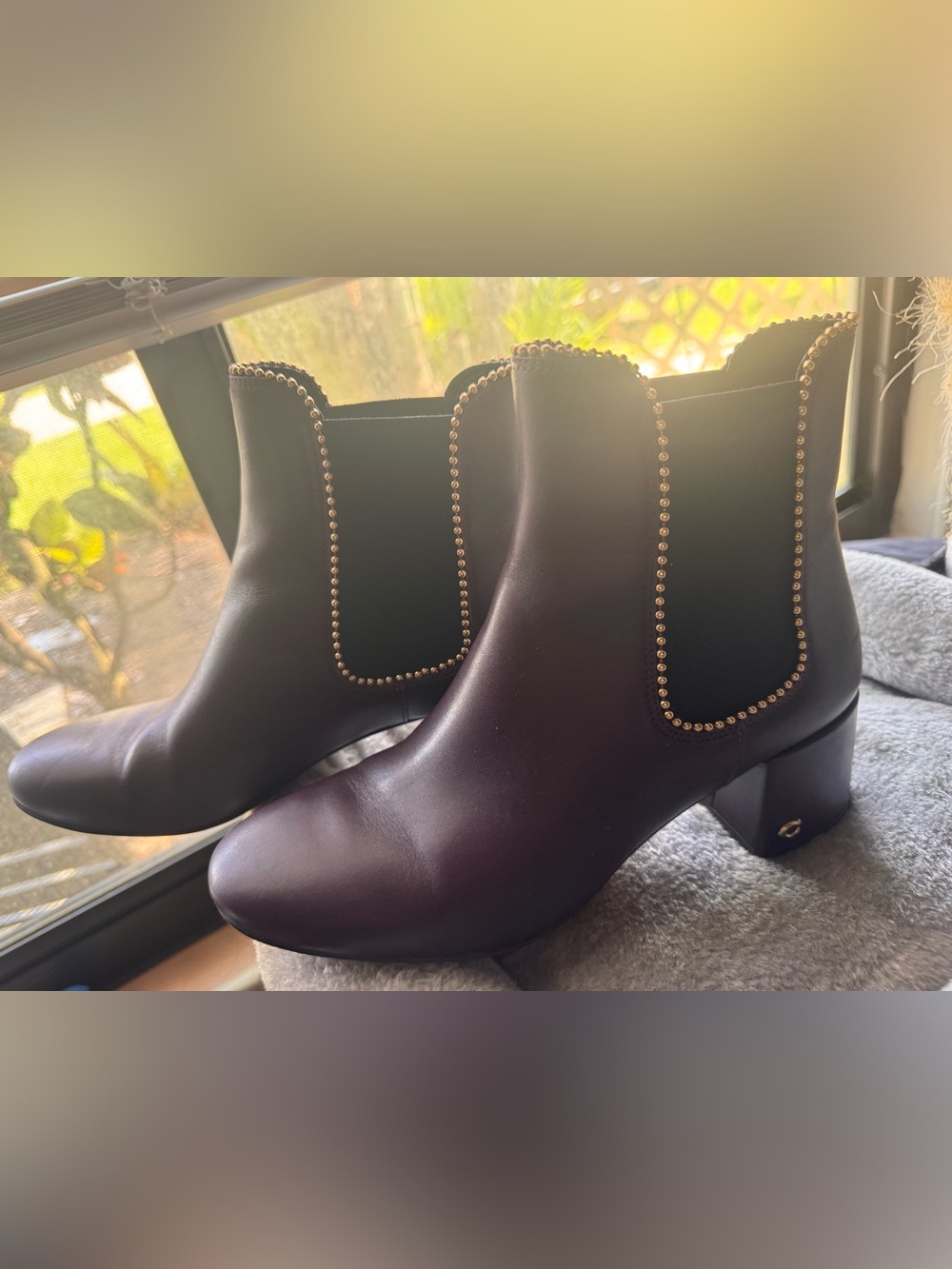 <Coach> Women's Stud-Trim Chelsea Ankle Boots in Deep Plum